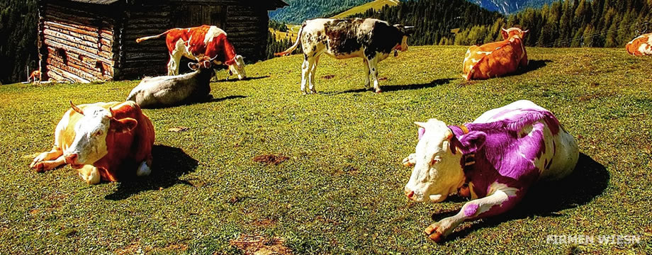 Werbung zum Oktoberfest 2026 - Angebote f&uuml;r Firmen und Unternehmen - Wiesnwerbung auf Firmenwiesn M&uuml;nchen